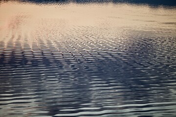 Silver surface of calm water with golden highlights and reflections. Beautiful glowing ripples on water surface close-up. Silver metal surface with abstract pattern close-up. Abstract texture.