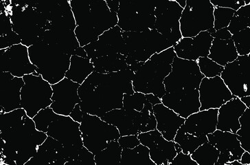 Fototapeta premium Dry soil texture. Cracks background. Grunge texture. Grunge black and white vector overlay. Grungy grainy surface.