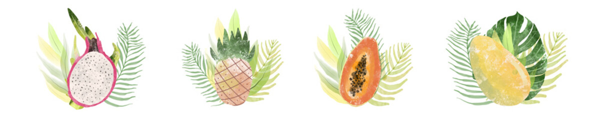 Tropical exotic fruits collection. Watercolor fruit set. Tropic Botanical fruit illustration.