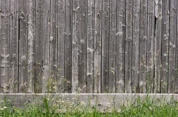 Natural grey barn wood wall with grass flower meadow foreground. Wall texture background pattern.