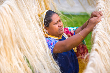 A female worker is processing the fibers from the pineapple leaves and letting them dry in the sun. Agricultural waste product.