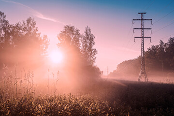 Very beautiful sunrise in a foggy forest with power lines