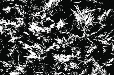 Grass texture. Nature background.Grunge texture. Grunge black and white vector overlay. Grungy grainy surface.