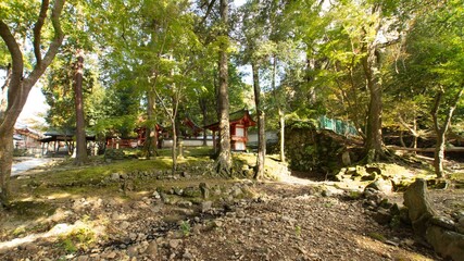 Autumn foliage in Nara, Japan