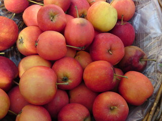 Äpfel