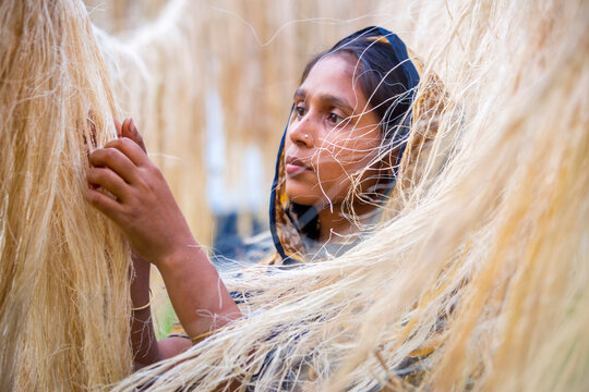 A female worker is processing the fibers from the pineapple leaves and letting them dry in the sun. Agricultural waste product.