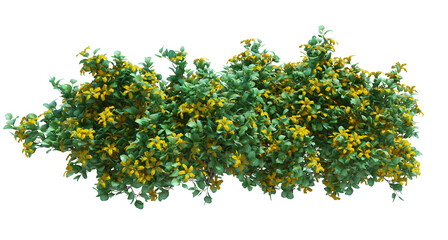 Obraz premium 3d Render Brush Tree Isolated on white