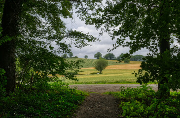 Wanderweg und Felder bei Wülfrath