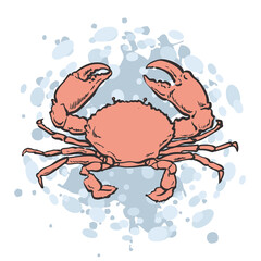 Vector illustration of red crab on abstract blue background isolated on white.