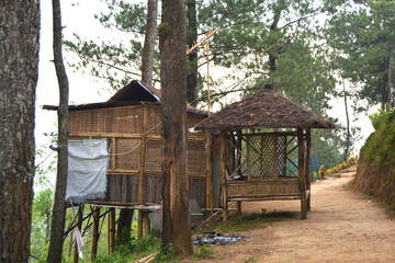 old wooden house