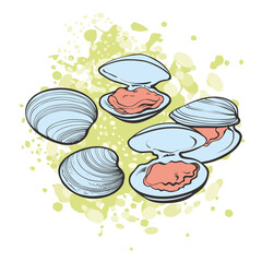 Vector illustration set of open and close mussels ready to eat in sketch style.