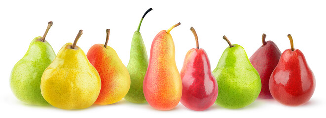 Isolated pears of diverse varieties. Panorama of multicolored different pears isolated on white background
