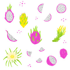Pitaya hand drawn vector illustration. Dragon fruit set. Whole, sliced, cut pitahaya fruit, leaves, flowers. Design template
