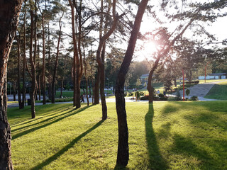 beautiful urban city park at sunny day Irpin city, Ukraine. Outdoor city park landscape.