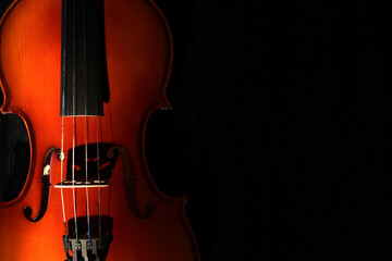 Violin On Dark