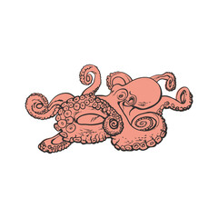Vector illustration of red octopus in sketch style - marine mollusc with eight arms and tentacles.