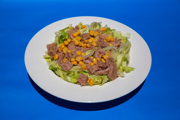 Top view tuna salad on blue background