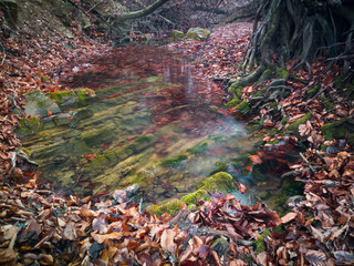 Scenic view of mountain stream in autumn during overcast day. A shallow mountain creek with a rocky bottom in a deciduous forest in the autumn.