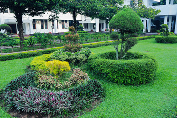 green trees in a beautiful garden