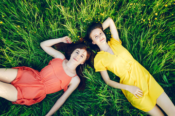 Two sisters or friends have fun in the field. Summer sunny evening