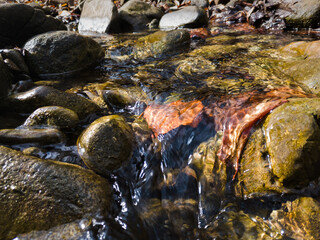 Close up view of mountain stream.