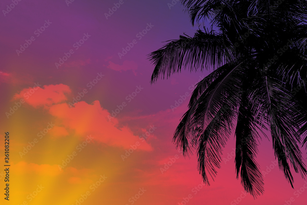 Wall mural Sunset on tropical beach with palms