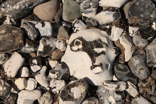 Steine am Strand der R&uuml;gener Kreidek&uuml;ste