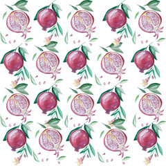 Aquarelle painting of Pomegranate sketch art illustration	
