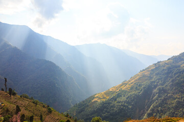 Fototapeta premium Rice fields on terraces in Himalaya, Nepal, Annapurna Conservation Area. Rural landscapes.