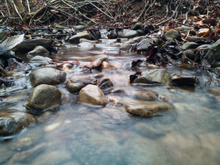 Shallow mountain stream with a rocky bottom.