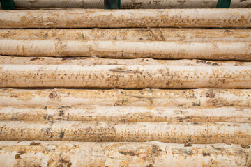 Warehouse with the production of woodworking sawmills, logs, boards and lumber