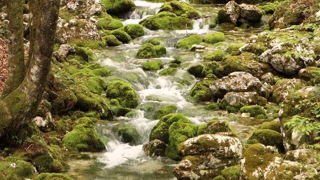 Small creek in the forest with clean water flowing in Bohinj, Slovenia taken with motion blur effect