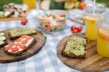 Obraz na płótnie Canvas Picnic basket with healthy vegan sandwiches on blue checkered blanket in park. Fresh fruits, vegetables and orange juise. Vegan picnic concept