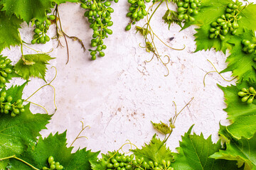 Weinranken, Wienblätter und Trauben auf Wand mit Freiraum für text