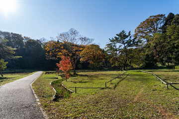 Path go through in a park in a countryside of Chiba prefecture, JAPAN.