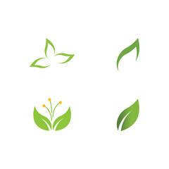 Set Leaf Logo Template vector