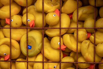 Ruber ducks in a cage
