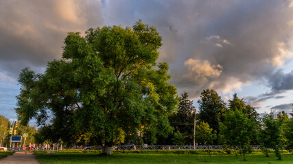 Evening view with haze of sunset on trees and clouds