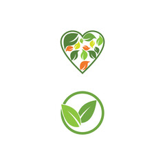 Leaf Logo Template vector symbol