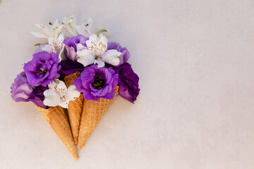 Summer or spring concept. Ice-cream cone with flowers