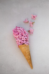 Summer or spring concept. Ice-cream cone with hyacinthus.
