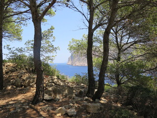 Fototapeta na wymiar the view from the hiking trail to the Far de Tramuntana on the island Sa Dragonera, Mallorca, Spain, in the month of June