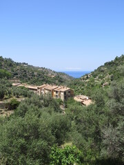 Fototapeta na wymiar the view from the town Deia, Tramuntana Mountains, Mallorca, Spain, in the month of June