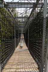 view of the tree top path and trail in the hills of southern Bavaria in Scheidegg