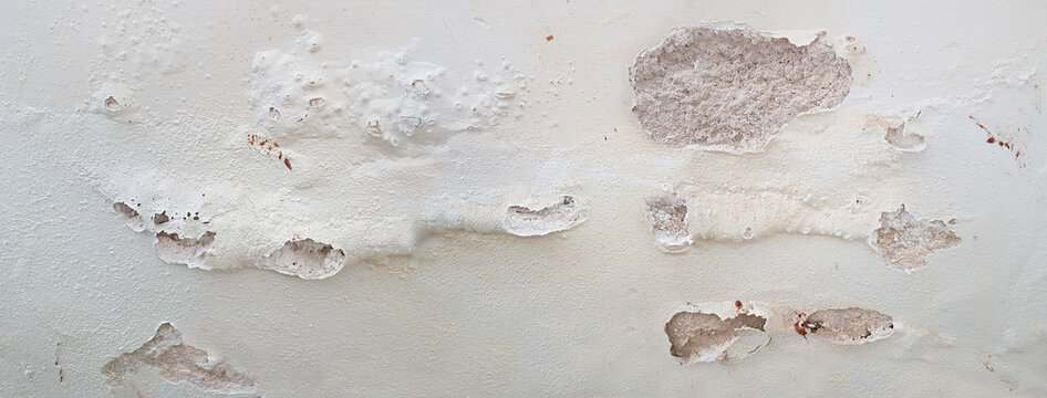 feuchte Kellerwand mit Salzausbl&uuml;hungen und Putzabplatzung