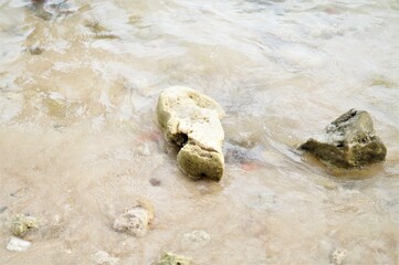stone on the beach