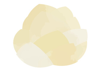 ユリネのイラスト