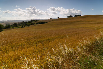 View of the Tuscan countryside