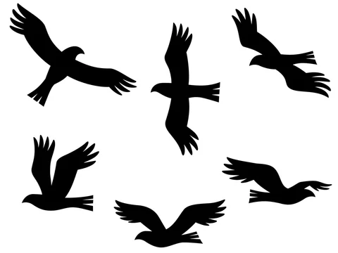 鷹のシルエットイラストセット Stock Vector Adobe Stock