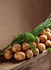 Young fresh organic potatoes with dill and onion on a old wooden table.